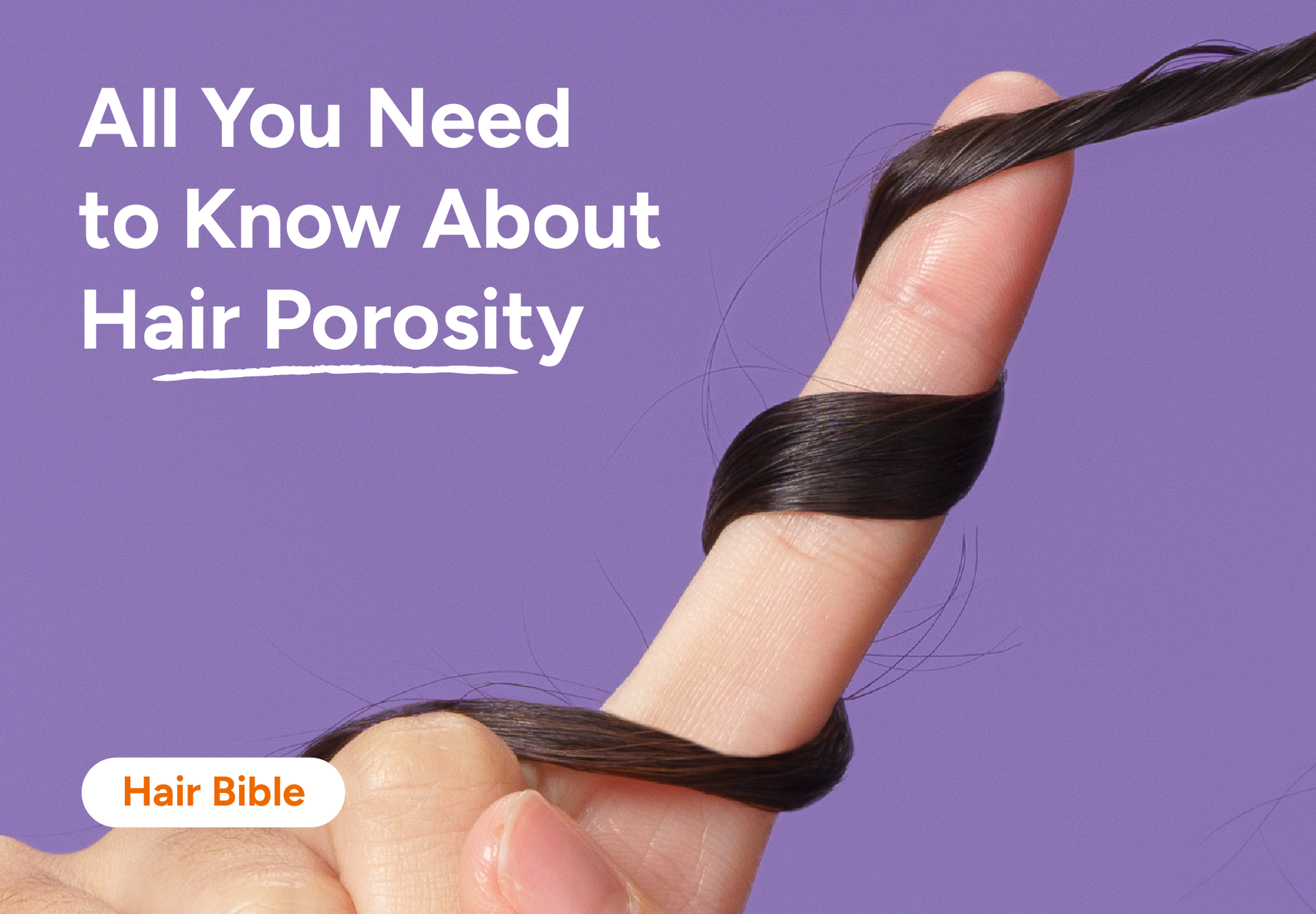 Hair Bible | All You Need To Know About Hair Porosity